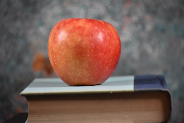 The Role of Nonprofits in Reducing Educational Inequality: Bet book 250.com, Radhe exchange login, Yolo247 club login