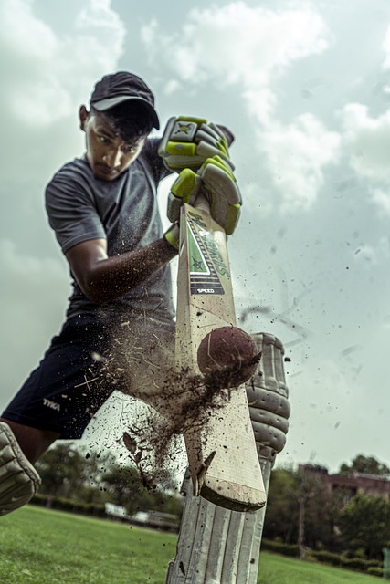 Cricket and Its Role in Driving Economic Innovation