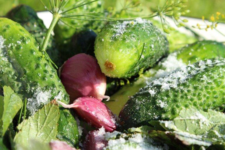 Juicing for Hormonal Health in Men: Testosterone-boosting and Estrogen-balancing Blends: Laser 247 new id login, Lotus betting sign up, 11xplay.pro