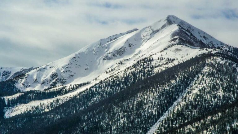 Who To Contact For A 99Exch Technical Issue?